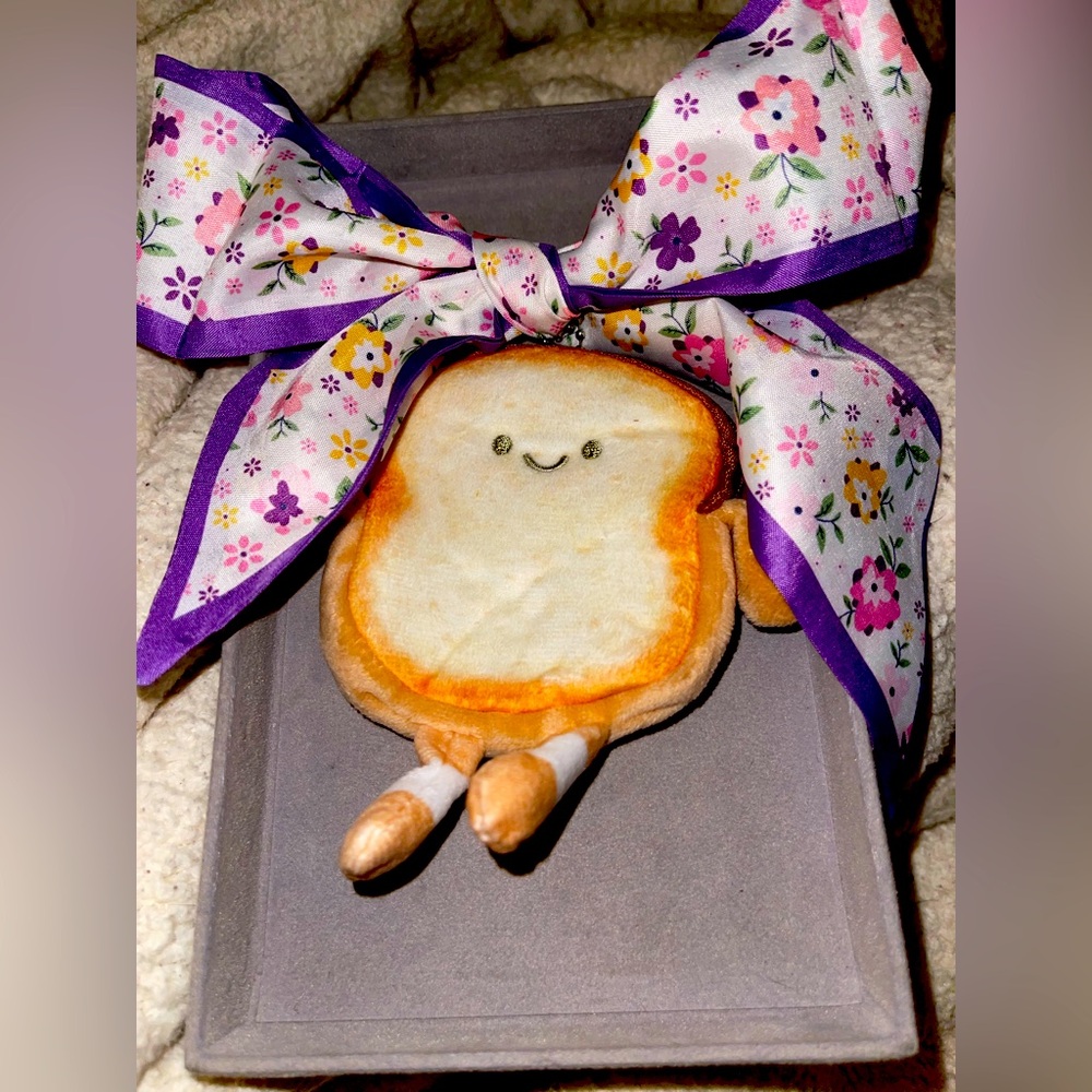 Mr. Toasty Coin Purse with Purple Spring Flowers Twilly. New!